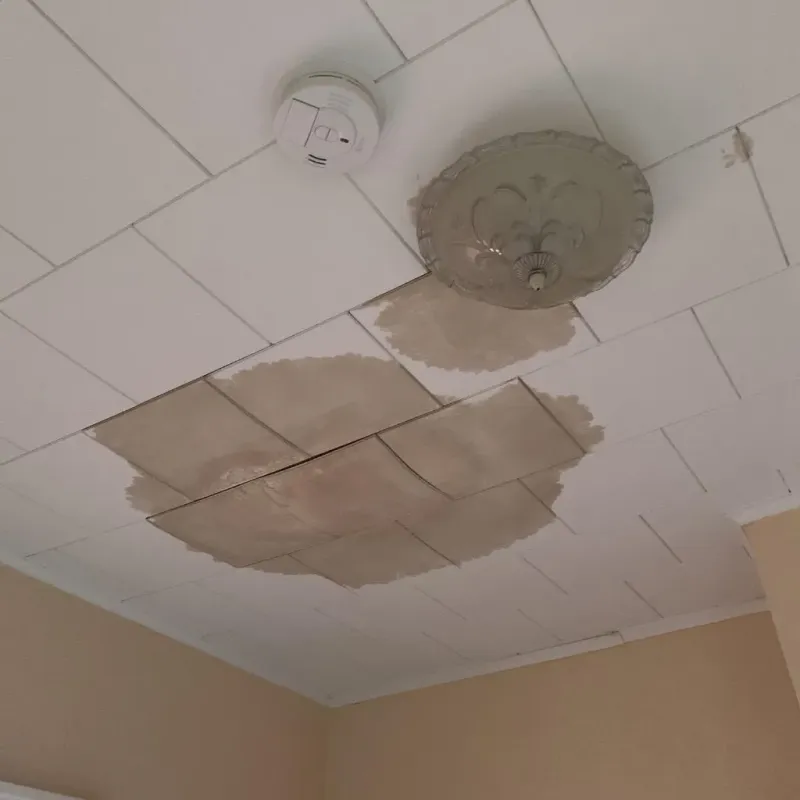 Ceiling Water Damage Repair in Louisville, NE