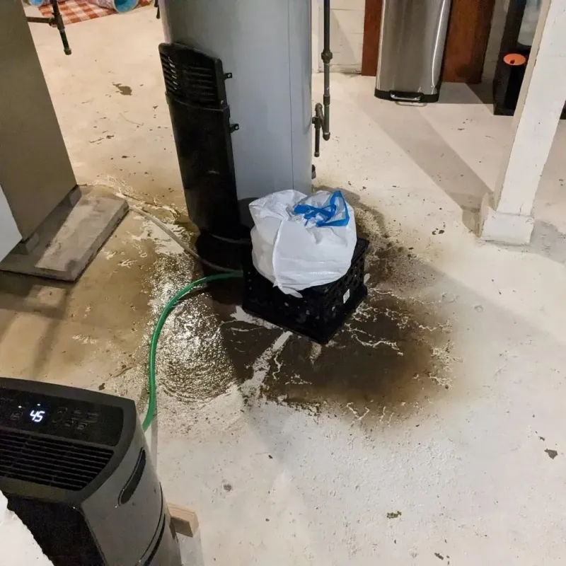 Sewage Backup Cleanup Service in Louisville, NE